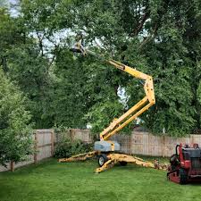 Best Tree Removal  in Newfield, NJ