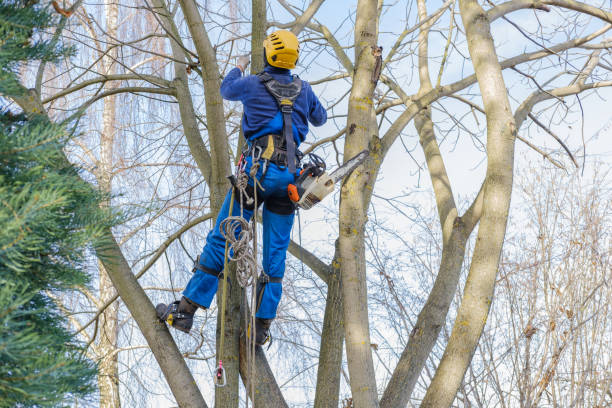 Mulching Services in Newfield, NJ